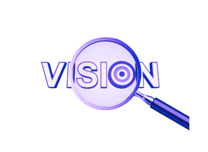 vision